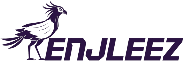 ENJLEEZ LLC Logo